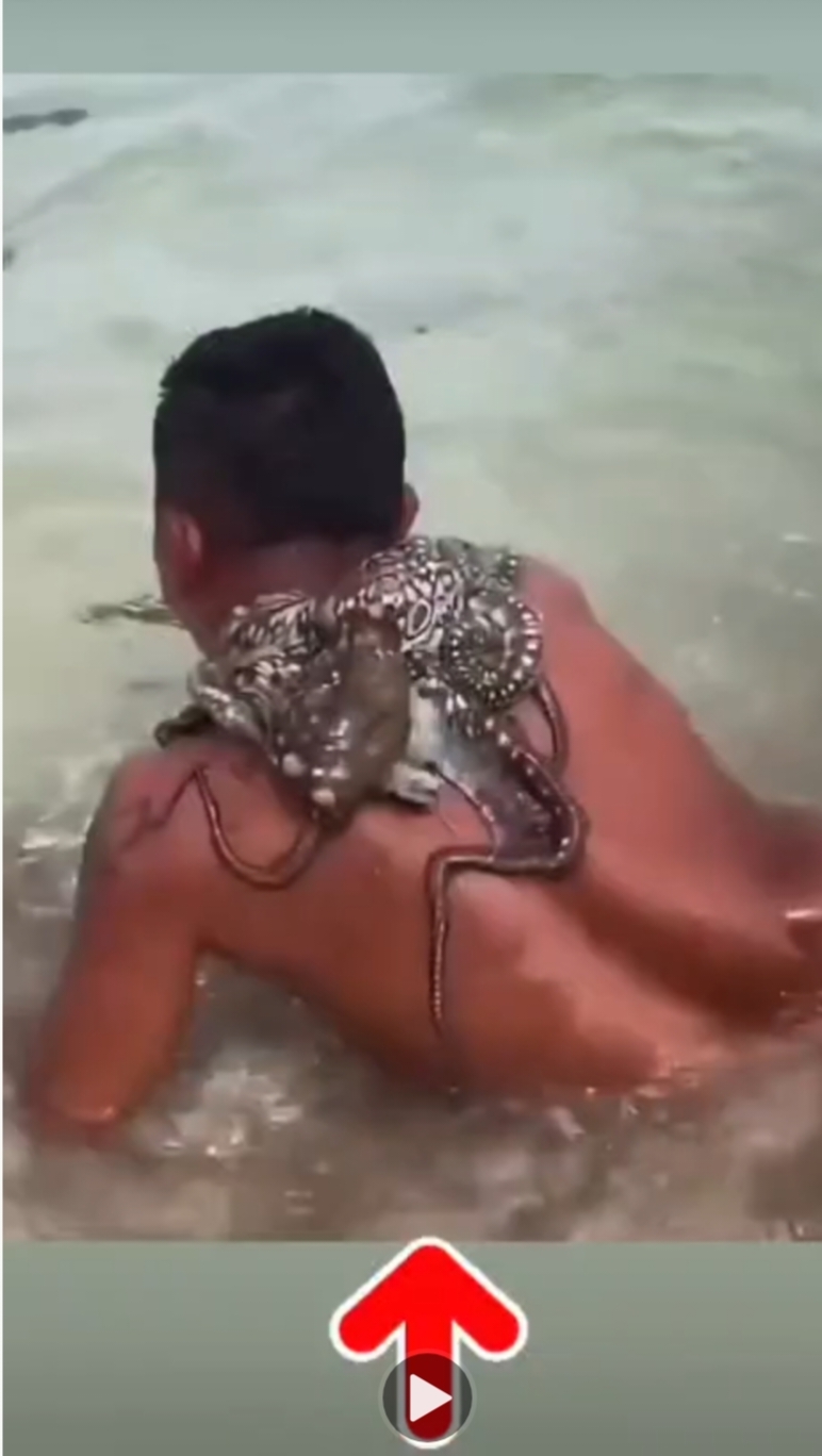 Octopus and man