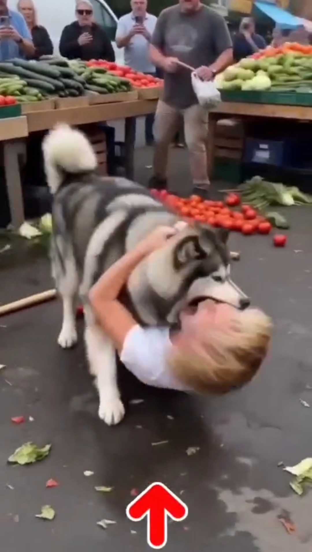 Large Dog’s Unexpected Reaction at Busy Market Leaves Everyone Stunned….see more